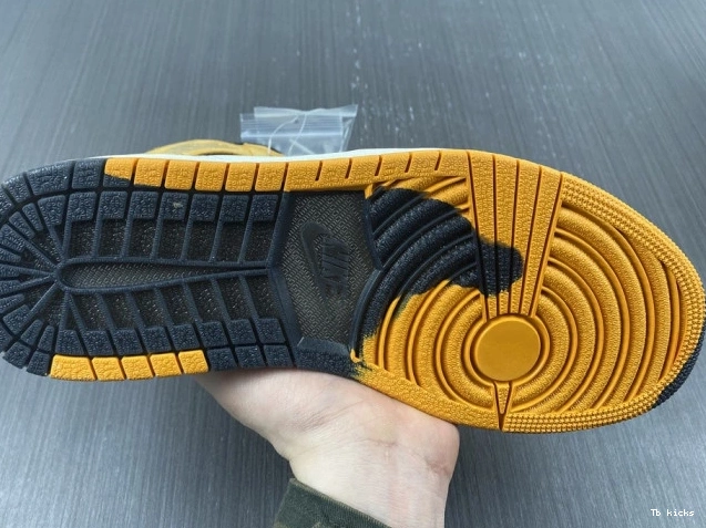 Reps TBK 1 Jordan High Element Light DB2889-700 Curry Gore-Tex 0806